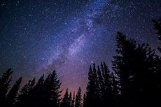 Seperti Apa Bentuk Bintang di Langit Malam?