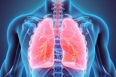 10 Penyebab Penyakit Paru-paru yang Sering Tidak Disadari