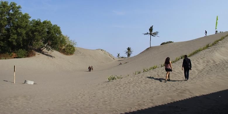 Wisatawan mengunjungi obyek wisata gumuk pasir Parangkusumo, Kecamatan Kretek, Bantul, Daerah Istimewa Yogyakarta, Minggu (23/8/2015). Sebagian wisatawan memanfaatkan gumuk pasir untuk melakukan permainan sandboarding.