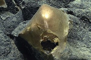 Ada Bola Emas Misterius di Dasar Alaska, Bikin Ilmuwan Bingung