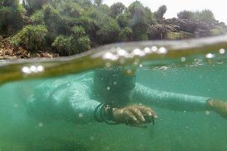 Snorkeling menjadi daya tarik Pantai Nglambor di Purwosari, Kecamatan Tepus, Kabupaten Gunung Kidul, DI Yogyakarta, Rabu (18/2/2015).