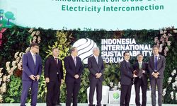 TotalEnergies dan RGE Pasok Listrik dari Pembangkit Tenaga Surya ke Singapura