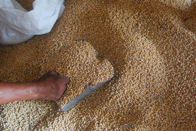 Kementan: Importir-Pengrajin Tempe Sepakat HAP Kedelai Rp 11.500