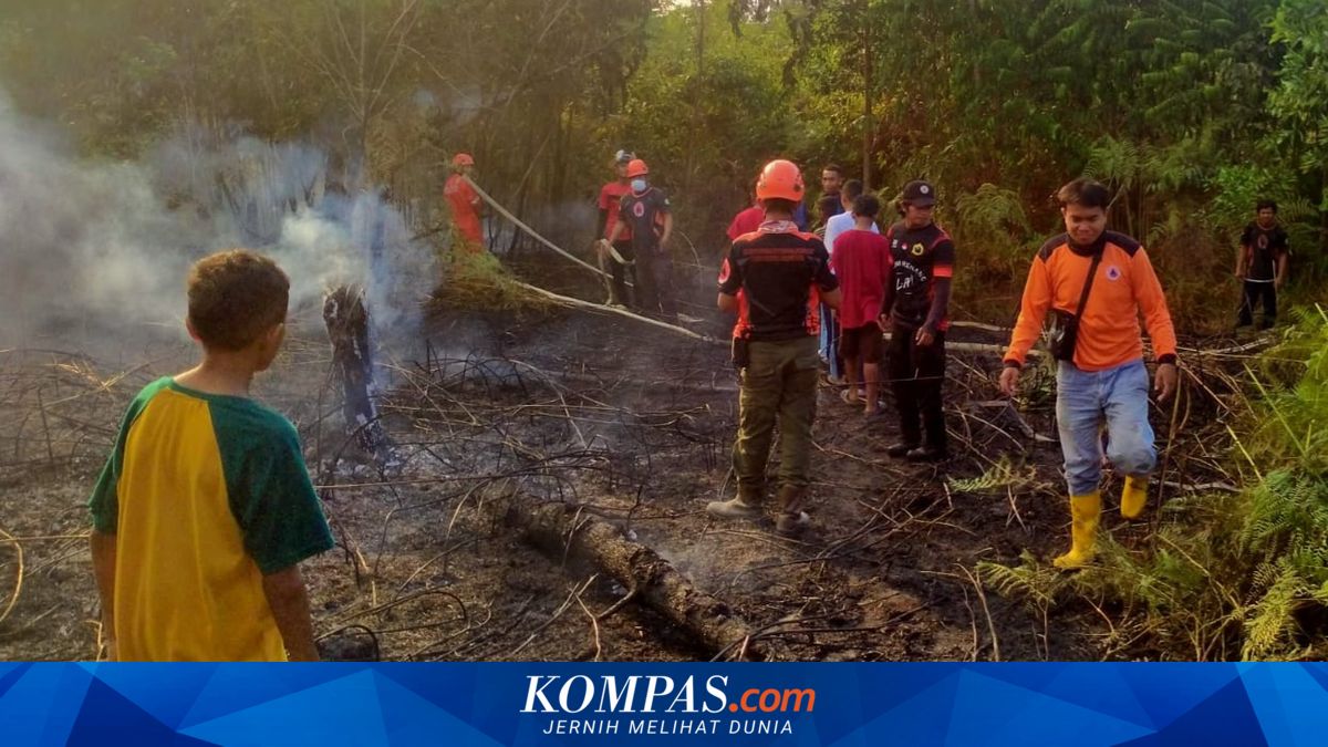 20 Hektar Lahan di Depan GOR Sei Sembilang Terbakar, Api Nyaris ...