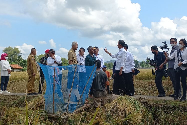 Kedatangan Presiden Joko Widodo di Desa Lejer Kecamatan Ambal Kebumen tak disangka-sangka masyarakat sekitar. 