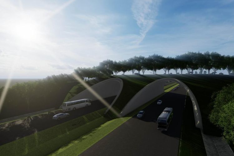 Ada Jembatan Satwa di Tol IKN, Macan Dahan dan Bekantan Bebas Melintas