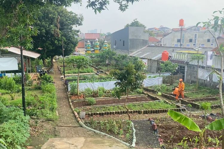 Kebun Poktan RW 7 Lenteng Agung Dipastikan Aman dari Proyek Relokasi Pasar Barito