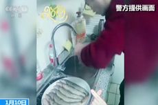 Pasangan di China Didenda Rp 20 Juta karena Masak Spesies Ikan Langka