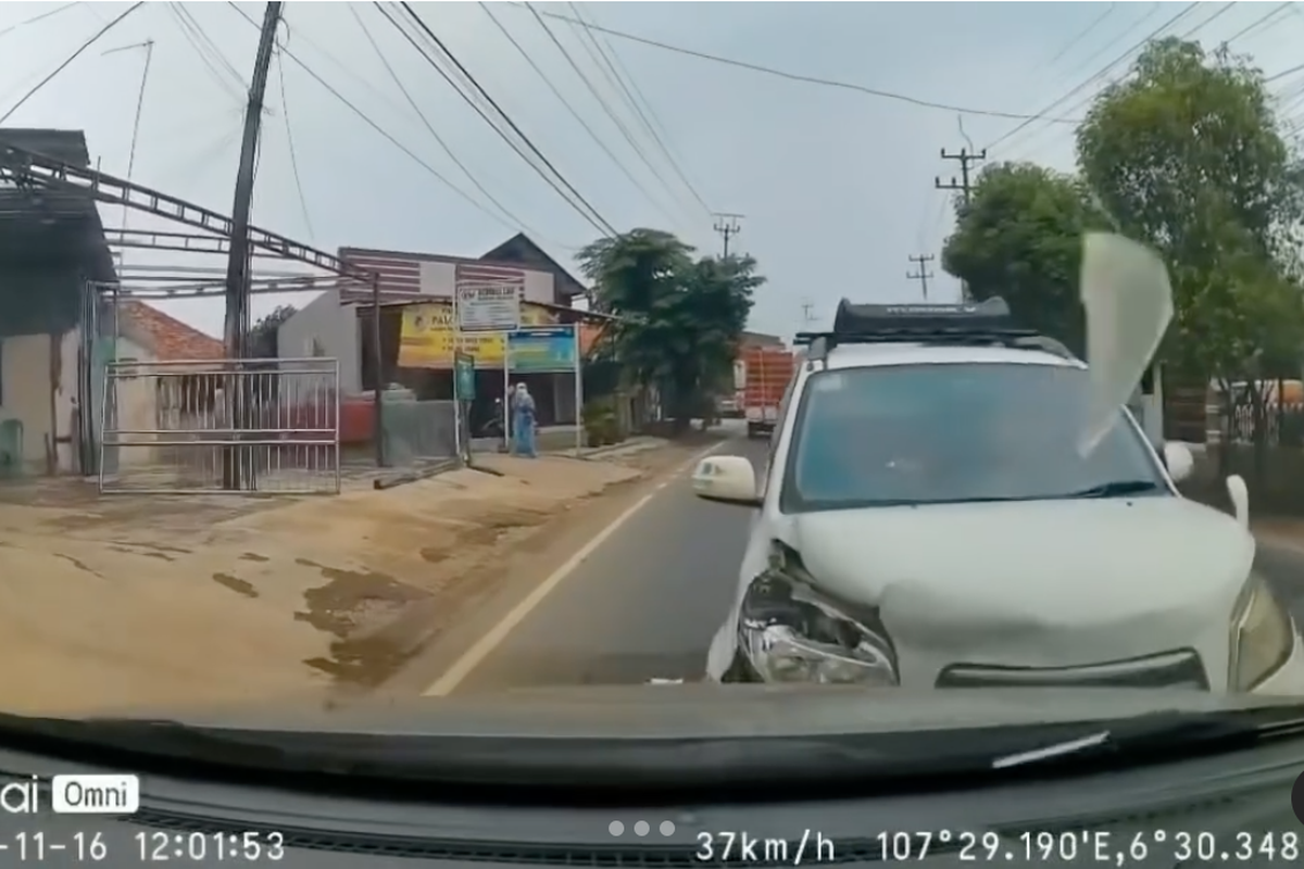 Video Daihatsu Terios adu banteng, ringsek di bagian depan