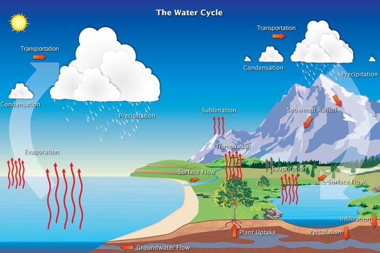Evaporasi, kondensasi, prespitasi, dan infiltrasi pada siklus air. 