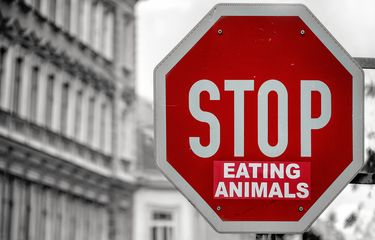 Aminal Planet Porno Sign Up For The Animal Planet Newsletter i