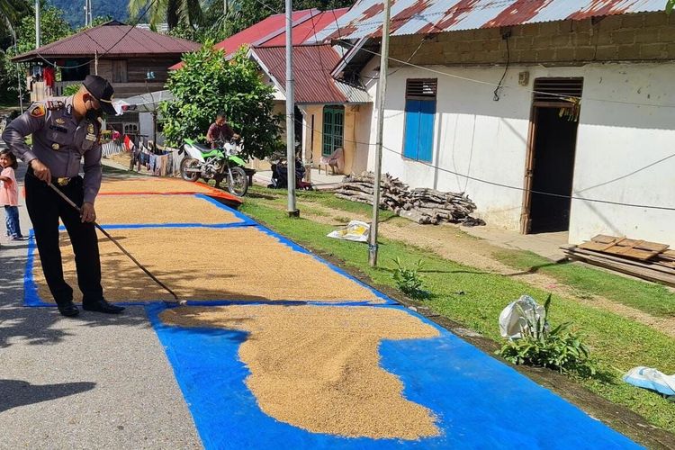 Kapolsek Sengingi AKP Koko F Sunaraya menjaga gabah padi agar pemilik gabah bisa mengikuti vaksinasi Covid-19.