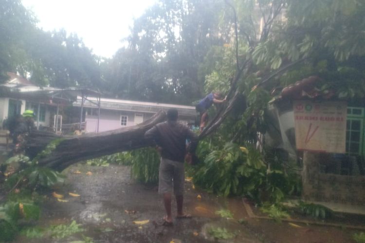Damkar Kota Depok bersama warga tengah mengevakuasi pohon tumbang di jalan Margonda, Pancoran Mas, Depok pada Selasa (19/4/2022). (doc damkar).