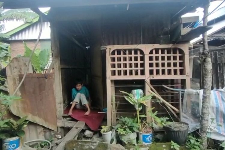 (SULSEL) Miris, Nenek Lumpuh di Pinrang, Hidup Dalam Gubuk Reot