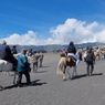 Tarif Sewa Kuda ke Kawah Gunung Bromo, Tak Perlu Jalan Jauh