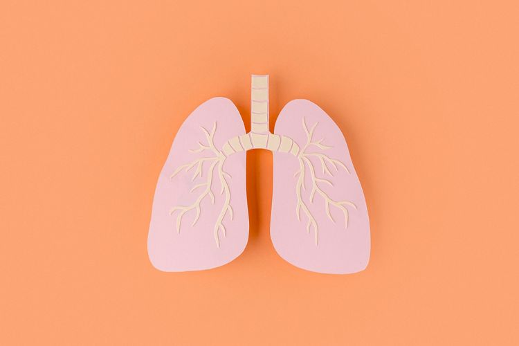 Ilustrasi paru-paru, gangguan pernapasan, fibrosis paru, paru-paru bocor, gejala paru-paru bocor, penyebab paru-paru bocor. 