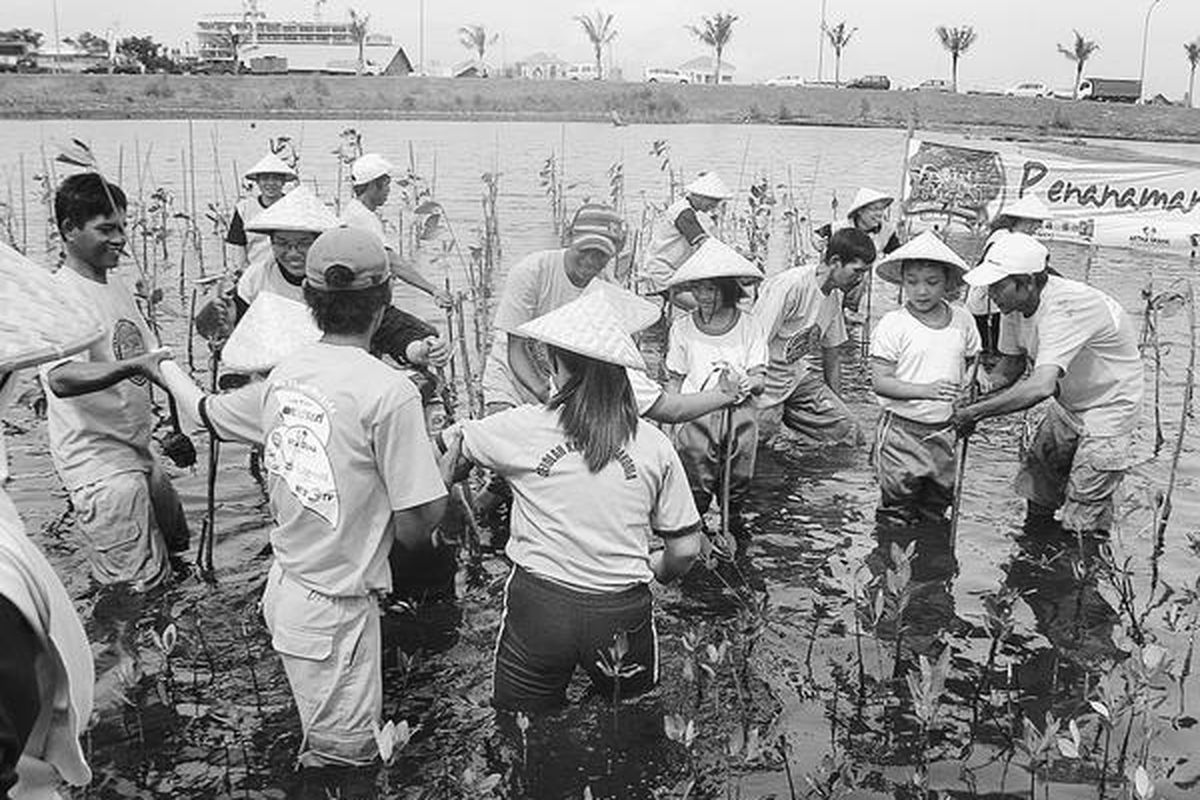 Sebanyak 30 murid sekolah dasar menanam bakau di Pantai Indah Kapuk, Penjaringan, Jakarta Utara, Sabtu (24/4). Penanaman bakau itu merupakan bagian dari rangkaian Festival Hutan 2010 yang diadakan Taman Wisata Mekarsari.