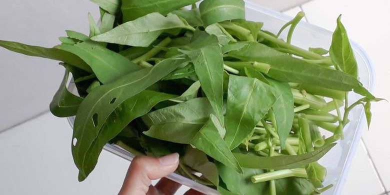 Survei Bps Orang Ri Kurang Makan Sayur Kangkung Paling Digemari Halaman All Kompas Com