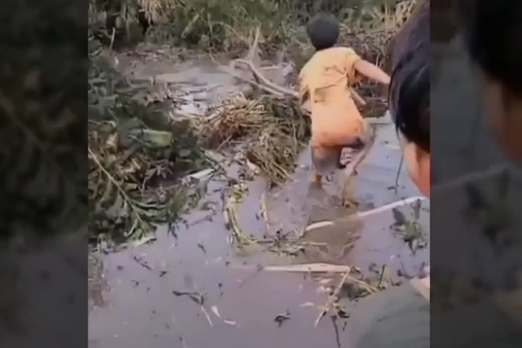 Viral anak-anak bermain buaya