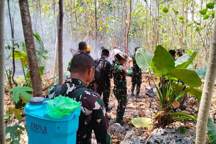 10 Hektar Kawasan Cagar Alam Tanjung Api Ludes Terbakar, Diduga gara-gara Buka Lahan