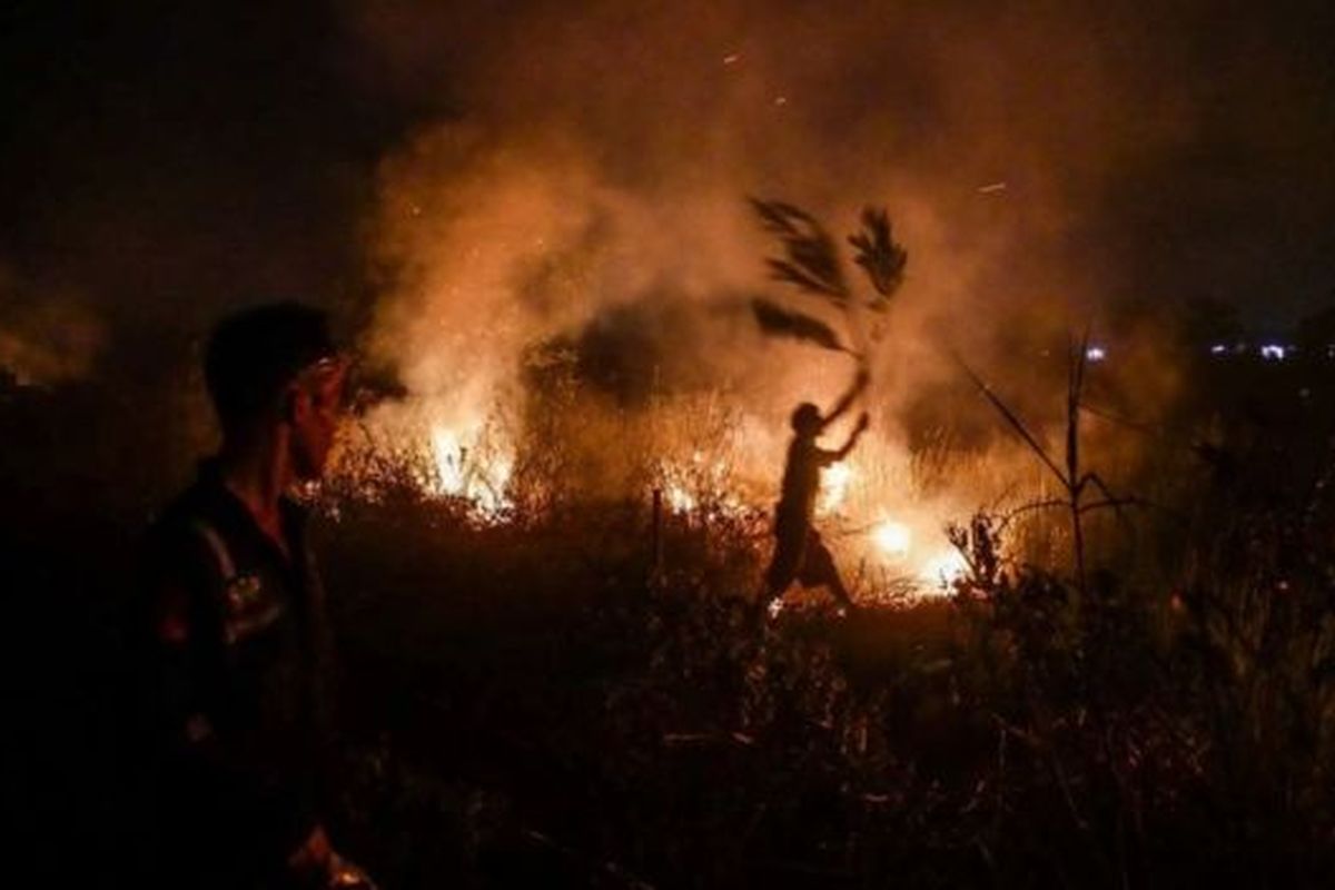 Hingga kini, tercatat tiga perusahaan yang izinnya telah dicabut, yakni PT Hutani Sola Lestari, PT. Mega Alam Sentosa dan PT. Dyera Hutan Lestari