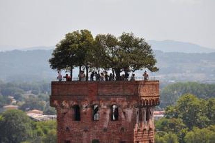 Lucca's Guinigi Tower dimahkotai oleh tujuh pohon oak. 