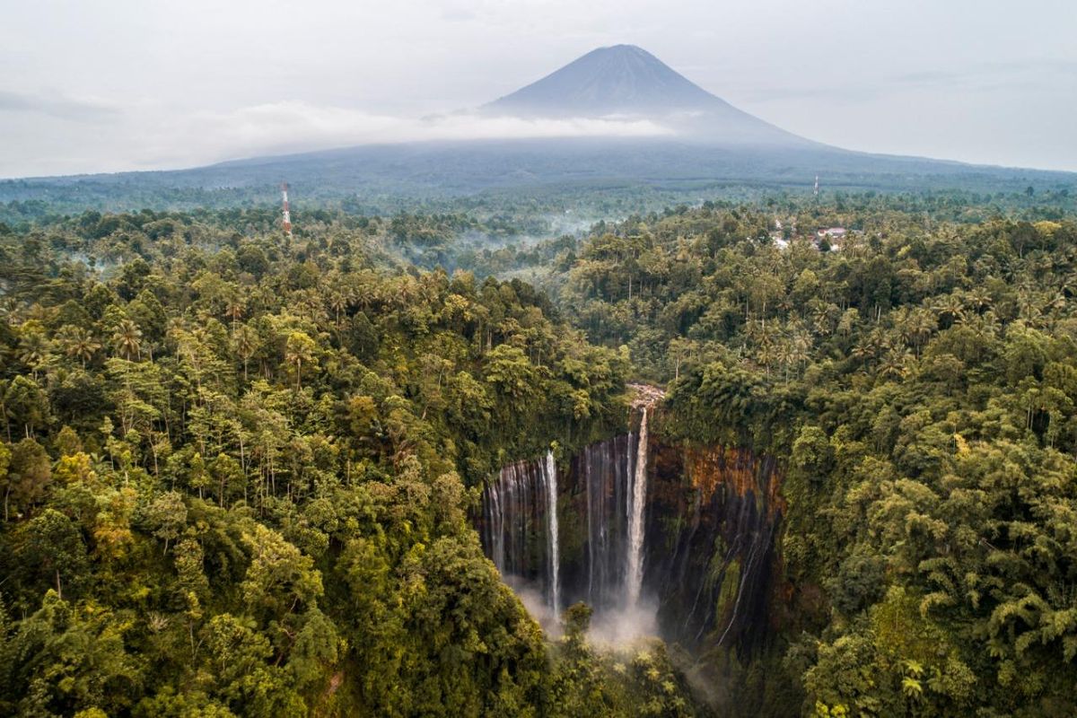 Ilustrasi ekowisata.