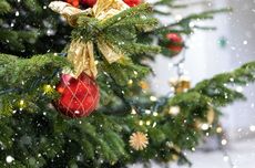 Asal-usul Tradisi Pohon Natal, Kapan Pertama Kali Muncul?