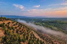 Tips Berkunjung ke Bukit Dewa Dewi di Wonogiri, Datang Pagi