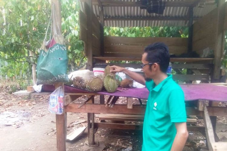 Pembeli memilih durian langsung di kebun  di Desa Buket, Kecamatan Kuta Makmur, Kabupaten Aceh Utara, Sabtu (21/7/2018)