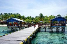 Tambang Nikel Raja Ampat, Daftar Perusahaan yang Dianggap Bermasalah dan Sesuai Aturan