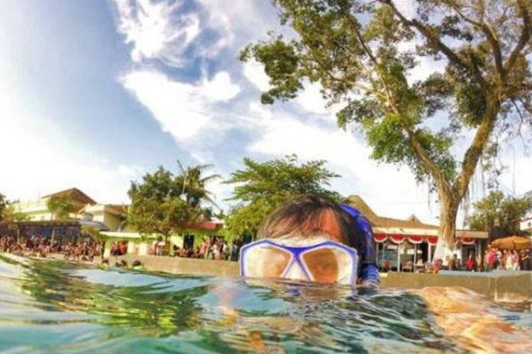 Pepohonan besar mengelilingi Umbul Ponggok dengan air yang jernih. Seorang pengunjung sedang ber-snorkling menikmati pemandangan bawah air yang berisi berbagai jenis ikan.