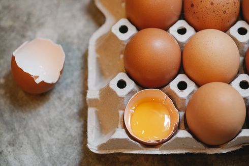 Kuning Telur Bagus untuk Diet