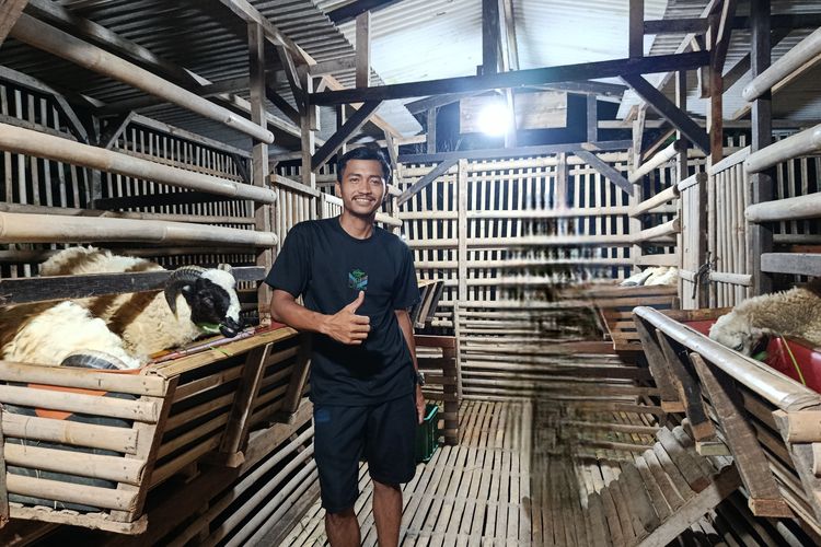 Tak Gengsi Beternak, Pemuda Bekasi Ini Bertaruh Masa Depan dari Kandang Kambing