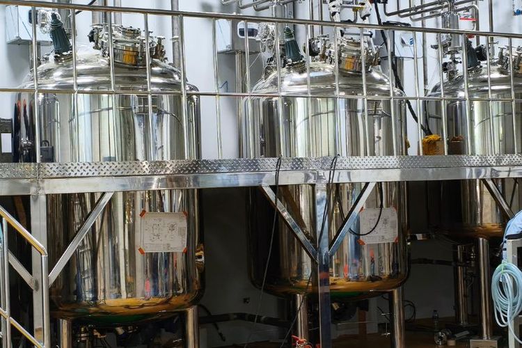 Tempat penampungan plasma. 

