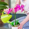4 Cara Merawat Bunga Anggrek, Info Ditjen Vokasi