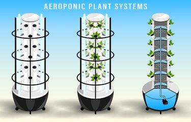 Aeroponik