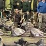 Pemburu Spanyol Bantai 540 Rusa dan Babi Hutan di Portugal, Publik Marah