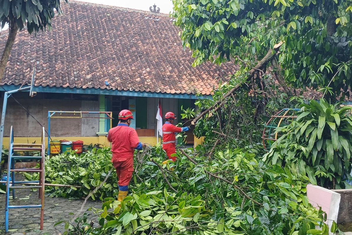 Petugas saat melakukan evakuasi pohon yang tumbang dampak hujan deras disertai angin kencang yang melanda Kabupaten Sleman. (Foto dokumentasi BPBD Sleman).