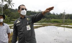 KUR Pertanian Bantu Petani Penuhi Kebutuhan Alsintan dan Tingkatkan Produktivitas