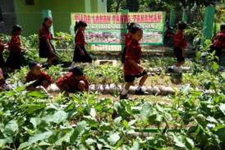 Para siswa SDN 1 Triharjo, Kecamatan Merbau Mataram, Kabupaten Lampung Selatan, memanfaatkan lahan di sekolah untuk berkebun.
