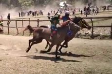 Pacuan Kuda Joki Cilik di Bima Akan Digelar meski Tak Dapat Izin Polisi