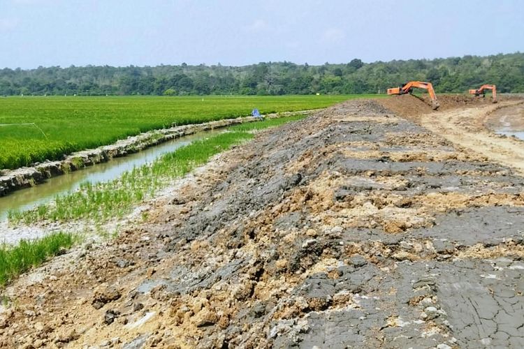 Proyek Tanggul Rp 850 M di Way Kambas Capai 82 Persen, Warga Masih Persoalkan Akses Sawah