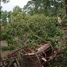 Hujan Deras Disertai Angin Kencang, 7 Rumah di Ngawi Rusak dan Tertimpa Pohon