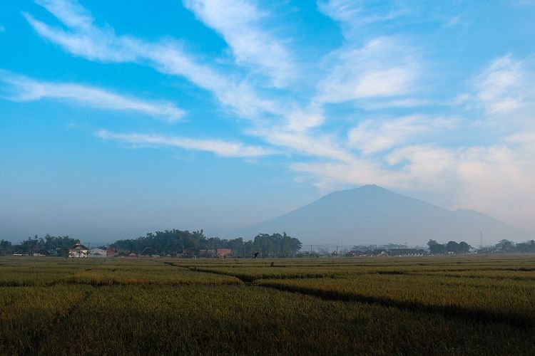 Pendakian Gunung Arjuno-Welirang Ditutup, Ini Aturan Reschedulenya