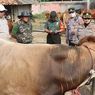 Prabowo Beli 4 Sapi Kurban, 3 Ekor Milik Dedi Mulyadi, Semuanya Berbobot Nyaris 1 Ton
