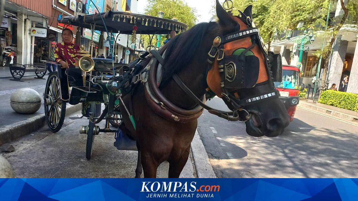 Damkar Ungkap Tantangan Evakuasi Kuda Andong dari Selokan di Jogja, Sempat Berontak Saat Diangkat
