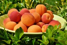 5 Manfaat Buah Peach untuk Kesehatan Menurut Sains 