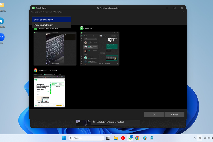 Tangkapan layar fitur screen sharing video call WhatsApp. Ketika berbagi layar lewat WhatsApp desktop, pengguna memiliki opsi untuk berbagi seluruh layar (share your display) atau hanya berbagi jendela aplikasi yang dibuka (share your window).