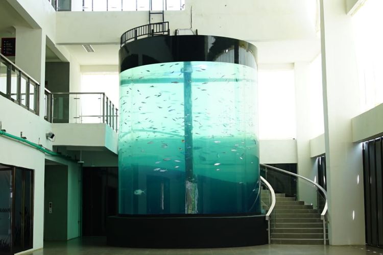 Salah satu akuarium yang ada di Pangandaran Integrated Aquarium and Marine Research Institute (PIAMARI) di Pangandaran, Jawa Barat (Jabar).